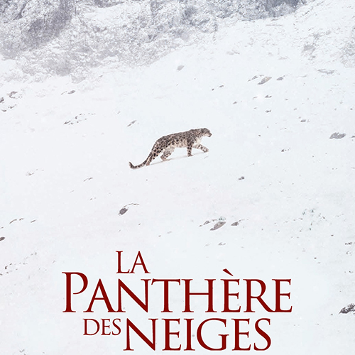 Cinématographe : La Panthère des neiges