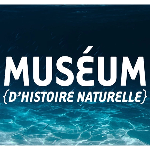 Muséum d’histoire naturelle : visites commentées accessibles