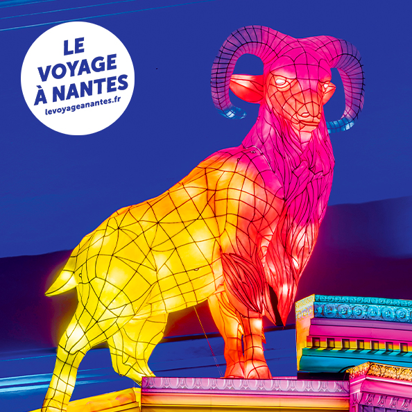 affiche du voyage en hiver accessible